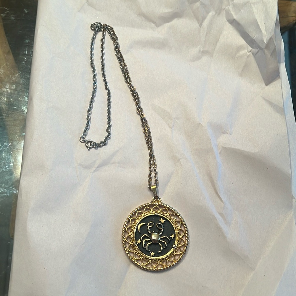 ♋️ Cancer pendant with long chain